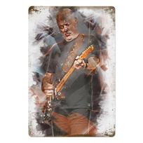 Vintage David Gilmour Guitar Metal Sign Retro Pink Floyd Tin Plaque for Music Fan Man Cave Wall Decor 20x30cm（7.8x11.8inch） gray