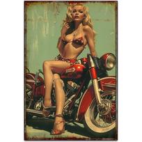 Sexy Girl On A Motor cycle Tin Signs Retro Classic Art Wall Decoration  GarageRoomFarm Tin Painting Artwork 20x30cm（7.8x11.8inch）