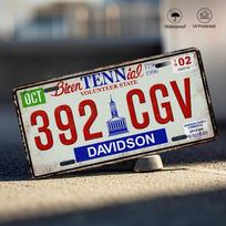 Tenesio dviejų šimtmečių savanorių valstija CGV numerio ženklų stiliaus D plokščias spaudos metalinis skardinis ženklas Davidson County teminis dekoras 15x30cm(5.9x7.8inch)