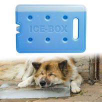 Ice Block Cool Pack Leakproof Compact Reusable for Travel Camping Beach Outdoor Activities 1000ml gray