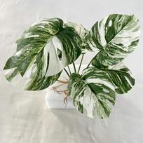 Realistiškas Monstera lapas 7 galvutės Dirbtinė žaluma Party dekoravimui Dovana šeimininkams White Green black