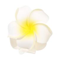 Ocean Themed Plastic Hair Clip With Firm Hold Design Waterproof Accessory For Sports And Travel 1
