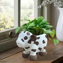 With Drainage Rustic Resin Cow-Shaped Succulent Planter - Indoor/Outdoor Decorative Flower Pot for Home & Balcony Plant Pot