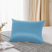 25 Momme  Natural Mulberry Silk Pillowcase,Both Sided Pure Silk Pillow Cover Gifts for Women,Pure Silk Pillowcsae For Hair USA Twin(20x26 inch)