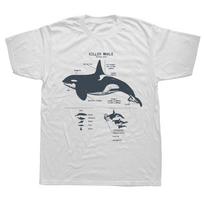 Juokinga Orca Anatomija Jūrų Biologija Laukinių Gyvūnų Paplūdimio Marškinėliai Grafiniai Streetwear Trumpomis Rankovėmis Gimtadienio Dovana Vasaros Marškinėliai S