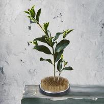 Brass Material Kenzan Flower Holder Compact Ikebana Arranger Tool Durable Floral Pin Frog 3.15"