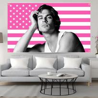 Ian Somerhalder Damon Salvatore Tapestry  Pink US Vampire Funny Meme Flag  Man Cave Wall Decor Flat Print 74x94cm(29x37in)