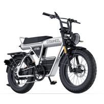 COSWHEEL CT20 Elektrinis Kalnų Dviratis 750W 48V 25Ah Baterija sidabras