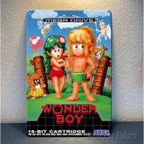 Sega Retro Wonder Boy Metal Poster Sign 20x30cm Vintage Video Game Wall Art Decor 20x30cm（7.8x11.8inch）