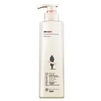 Adolph Oil Control & Anti-Dandruff Shampoo 520ml