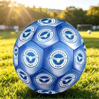 Brighton & Hove Albion FootballPrinted Size 5 Soccer Blbion Football, Anti Slip Adult Match Football Souvenir for Football Fans Size 5