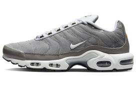 Nike Air Max Plus Flat Pewter DV7665-002 40.5
