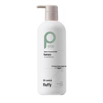 Baitini Balancing Oil Control Volumizing Shampoo