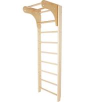 Gimnastikos sienelė su skersiniu prisitraukimams inSPORTline Steadyline, 250x90cm