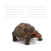 Kids Toy Pvc Terrain Turtle Replica With Durable Material For Home Decor And Educational Use Style B
