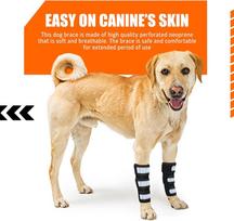 Dog Knee Support Brace Neoprene Compression Leg Wrap with Protection for Arthritis & Joint Pain Relief (as the picture,M)