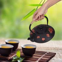 Copper Handle Cast Iron Teapot 0.9L Capacity Oriental Teapot Classic Tea Pot Kettle  Tea Brewing