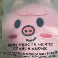STRAY KIDS Skige Pig Baby Cushion