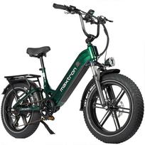 Elektrinis dviratis Maxtron Camel 500W variklis 20  storos padangos pilna pakaba suaugusiųjų elektrinis dviratis 48V 18Ah dvigubas hidraulinis stabdys 7 pavaros maksimali apkrova 150 kg žalia