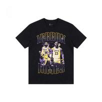 Nike LeBron Men's Nike Nba T-Shirt II7126-010 M