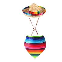 Traditional Themed Animal Hat And Bright Shawl Set Lightweight comfortable For Regular Wear 1