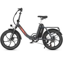 Maxtron Mule Electric Bicycle 250W Motor 20  Tire Foldable Electric Bike 7 Speed Dual Disc Brakes 48V 20Ah LCD Display Top Speed 25km/h pilka