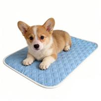 45x35cm Pet Cooling Pad Dog Sweat Sleeping Rug Soft Rest Mat Sleep Bedding Pet Supplies For Small Medium Large Dog Kitten Crate mėlyna