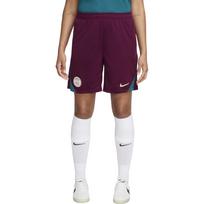 Nike Casual Shorts Unisex Bordeaux/Crystal Azurite/Pomegranate Ice FN9394-610 L