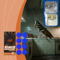 Cockroach Patches Can Quickly Reduce Indoor Cockroach Nests. Household Cockroach Control And Kitchen Cockroach Patches. One Size ruda