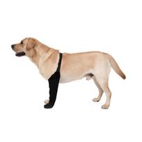 Front Left Leg Strong Support Knee Dog Knee Brace For Back Leg M juoda