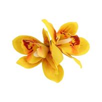 Beautiful Floral Hair Clip Design For Women Artistic Look Soft Cloth Fabric Floral Hair Barrette Headpiece geltona