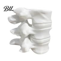 Lumbar Spine Model Decor Shape Pen Holder 3D Printing Ornaments Practical Desktop Science Themed Desk Accessory Storage Container for Orthopedic balta