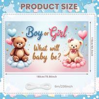 Gender Reveal Backdrop Soft Color Scheme Gender Reveal Background Gender Party Display Heart Balloons For Indoor Party