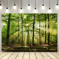 2D plane 1 piece of sunny forest scenery background fabric bedroom and living room decoration polyester fiber 47.2x31.5inch/120*80cm