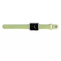 Snaige Apple Silicone Strap For Apple Watch 42mm Green