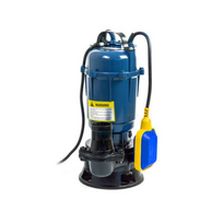 Drenažinis vandens siurblys su plūde 4150W Polska Power, PP-1008