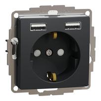 Kištukinis lizdas su įžeminimu Schneider Electric Sedna Design SDD114052 (antracitas, 2xUSB-A)