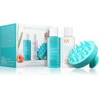 Moroccanoil Scalp Discovery Set rinkinys riebiai galvos odai nuo pleiskanų