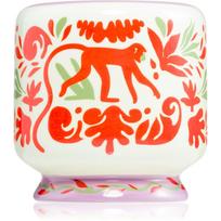 Paddywax A Dopo Jungle kvapioji žvakė 226 g