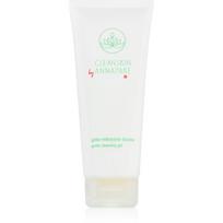 Annayake CleanSkin Gentle Cleansing Gel valomoji želė odai nepriekaištingai valyti 100 ml