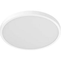 Xiaomi Išmanioji lubų šviesa D20 BHR07RIGL, 17 W, 900 lm, 2700-5700 K, IP50, Wi-Fi, balta