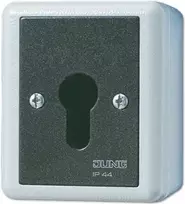 Jungiklis su raktu JUNG 806.28 G — 2P, laidinis, 250 V AC, 16 A, juodas/baltas
