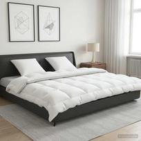 Antklodės ir pagalvių rinkinys 3 pcs 220x240 cm Žiema 450 GSM