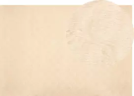 Beliani dirbtinio triušio kailio kilimas 160 x 230 cm smėlio spalvos GHARO