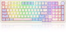 „Redragon Eisa 100 RPC“ klaviatūra (K768VI-WL)