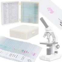 Set Of 25 Microscope Samples