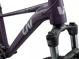 Kalnų dviratis Liv Tempt 27.5 3 Tyrian Violetinė