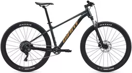 Kalnų dviratis Giant Talon 29 2 Asphalt Žalias