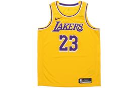 Nike LeBron James Icon Swingman Jersey AA7099-741 M