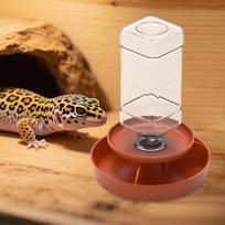 Akvariumo reikmenys ropliams Vandens dubenėlis Ir tiektuvas Varlės Orange S